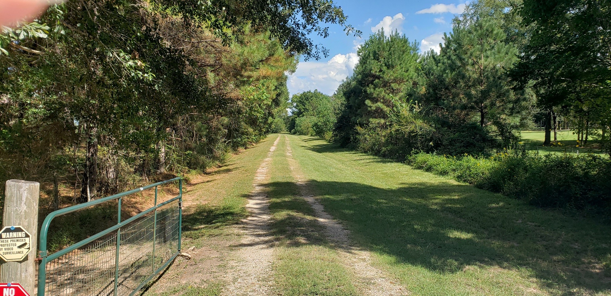 23310 Margerstadt Road Hockley, TX 77447 - Photo 3 of 42