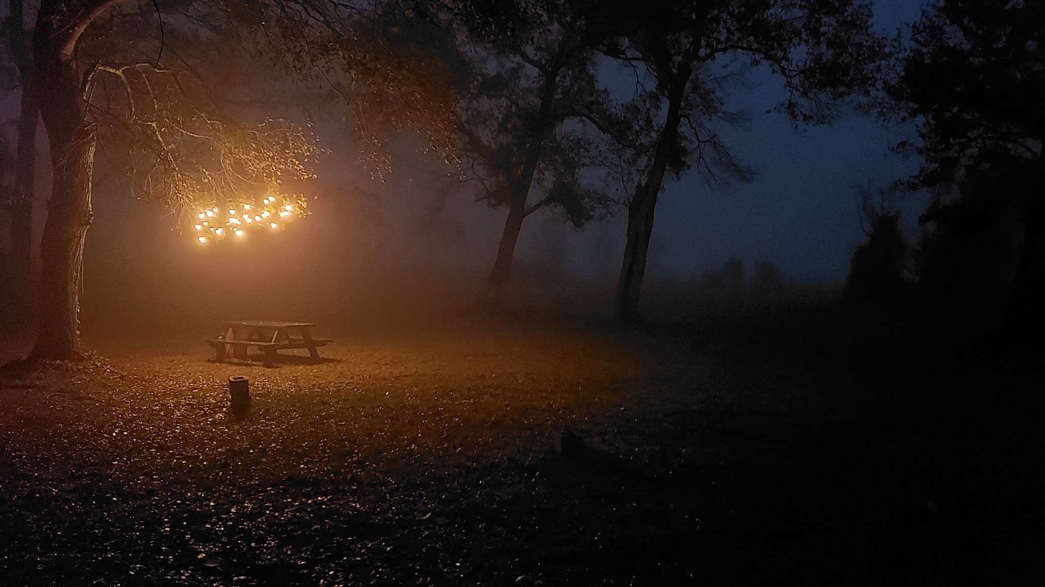 23310 Margerstadt Road Hockley, TX 77447 - Photo 31 of 42 a view of outdoor space and yard