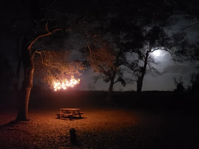 a view of a golf course with green space