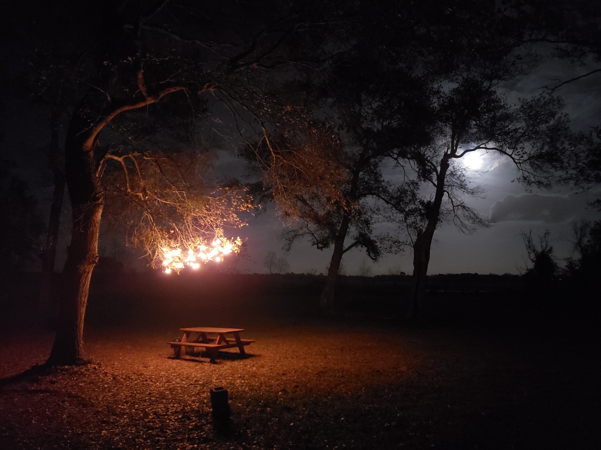 23310 Margerstadt Road Hockley, TX 77447 - Photo 32 of 42 a sunset view with a fireplace