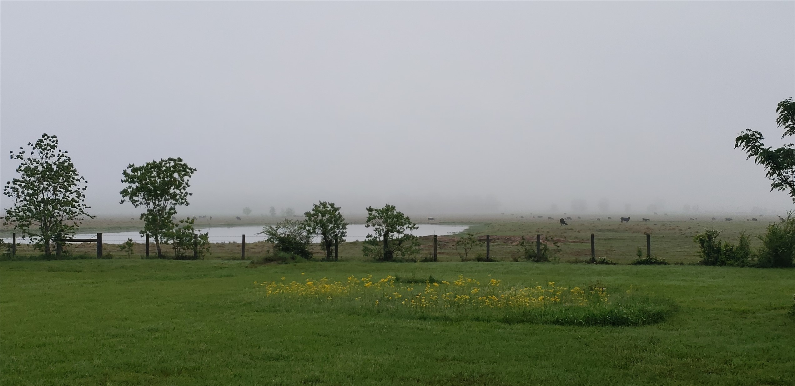 23310 Margerstadt Road Hockley, TX 77447 - Photo 34 of 42 a view of a golf course with green space