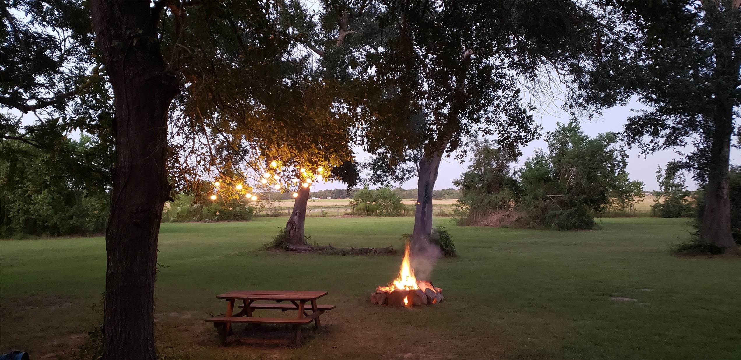 23310 Margerstadt Road Hockley, TX 77447 - Photo 35 of 42 a view of a fire pit with a tree