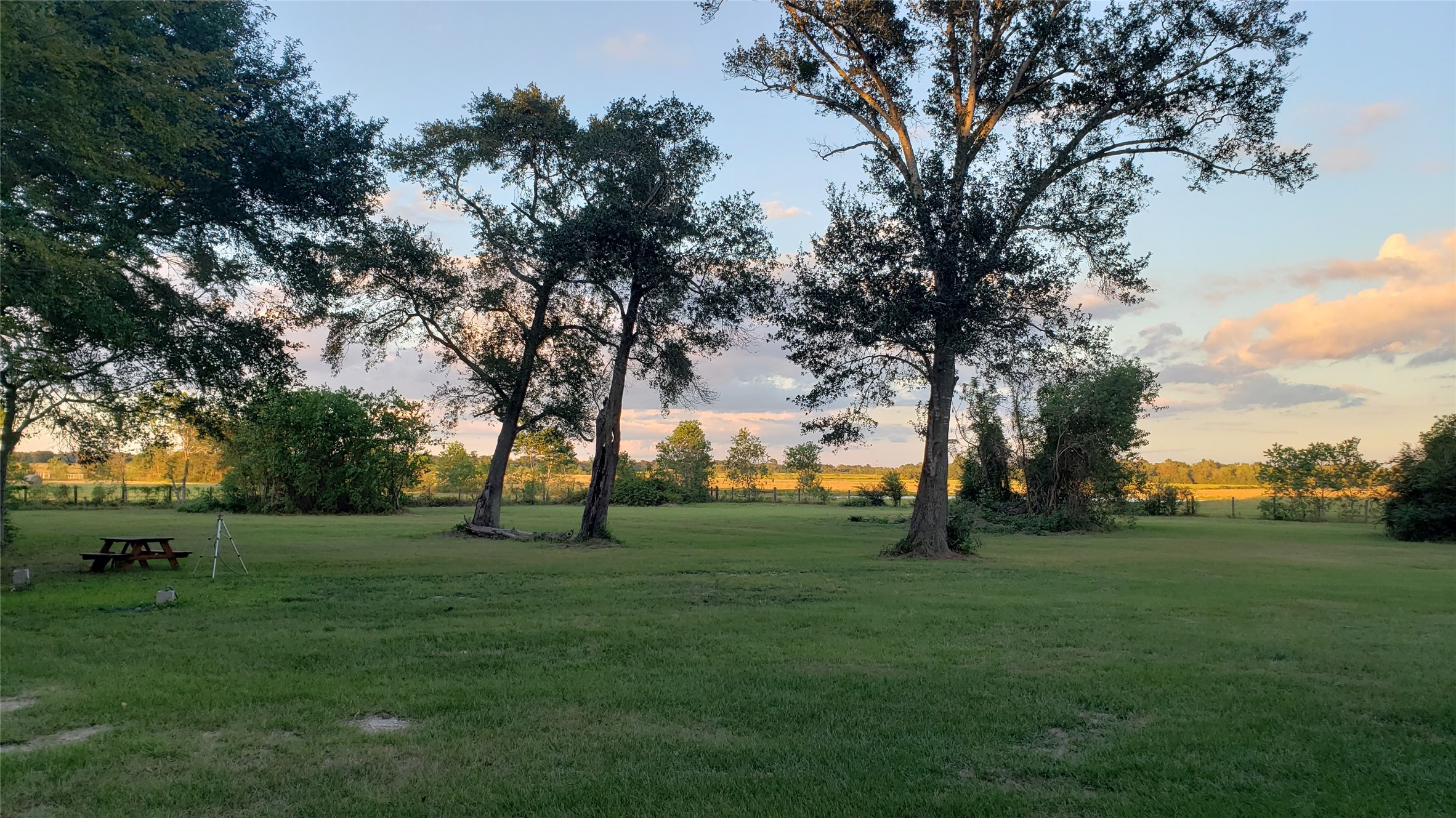 23310 Margerstadt Road Hockley, TX 77447 - Photo 36 of 42 a huge green field with lots of trees