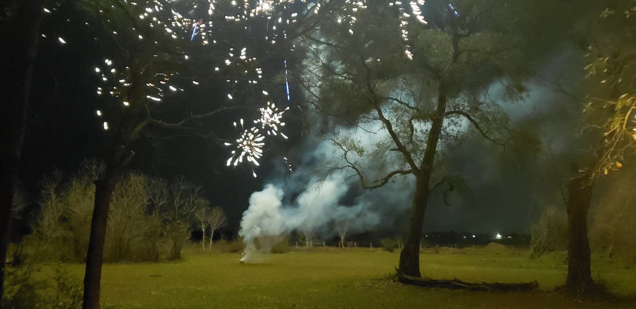 23310 Margerstadt Road Hockley, TX 77447 - Photo 37 of 42 a view of fountain in middle of the green yard