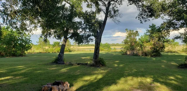 a view of a garden with a bench