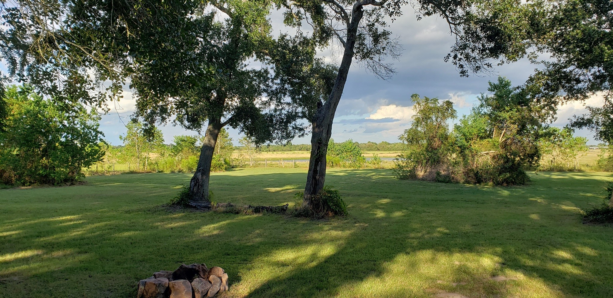 23310 Margerstadt Road Hockley, TX 77447 - Photo 7 of 42 a view of an trees with a yard