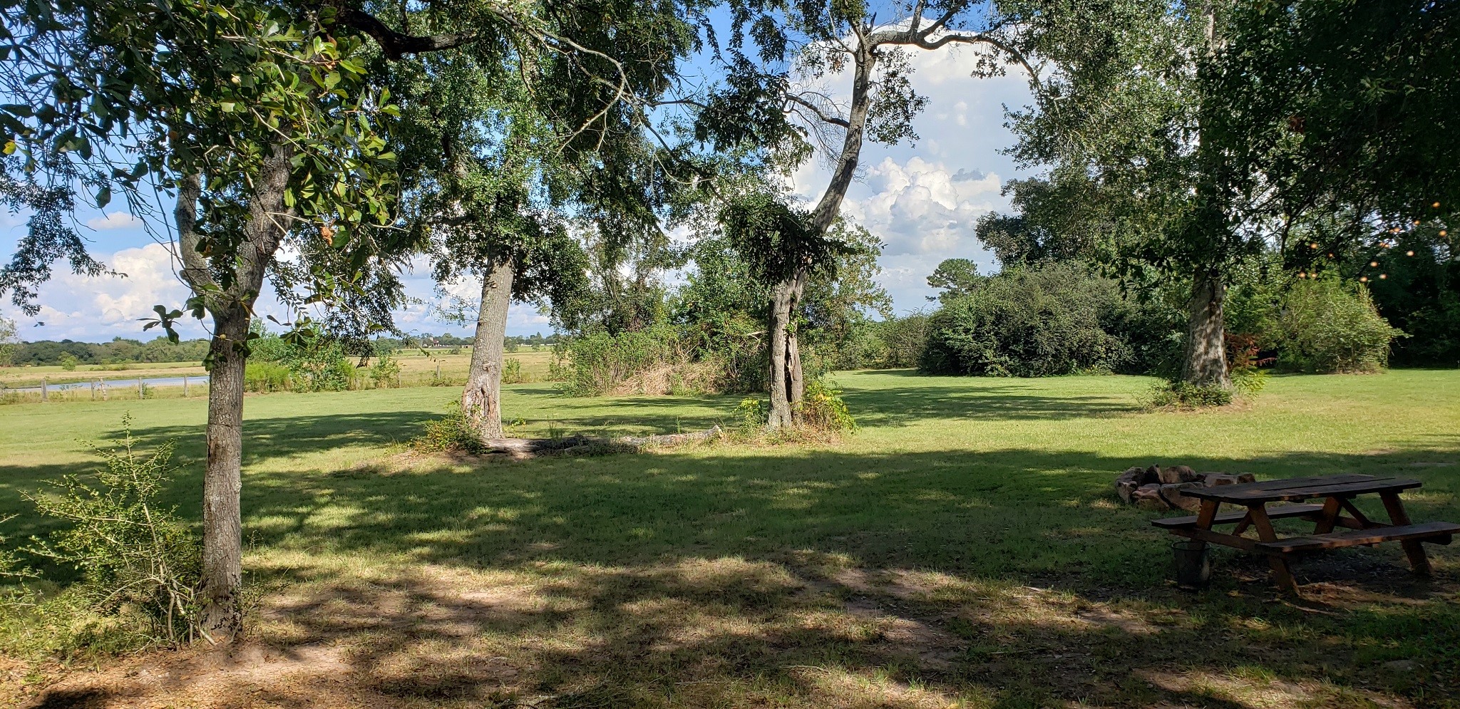 23310 Margerstadt Road Hockley, TX 77447 - Photo 8 of 42 a view of a garden with a bench