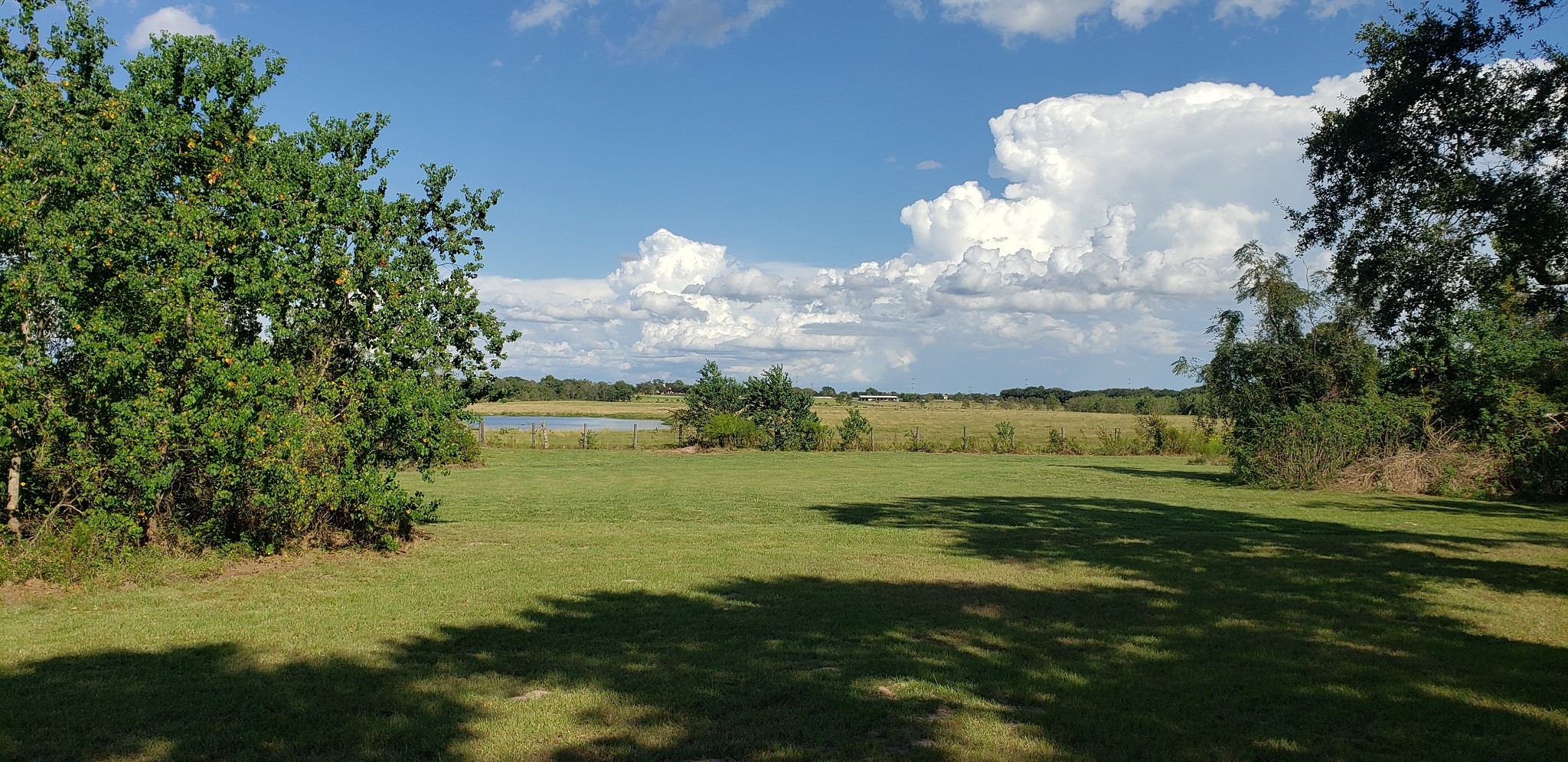 23310 Margerstadt Road Hockley, TX 77447 - Photo 9 of 42 a view of a lake with a big yard