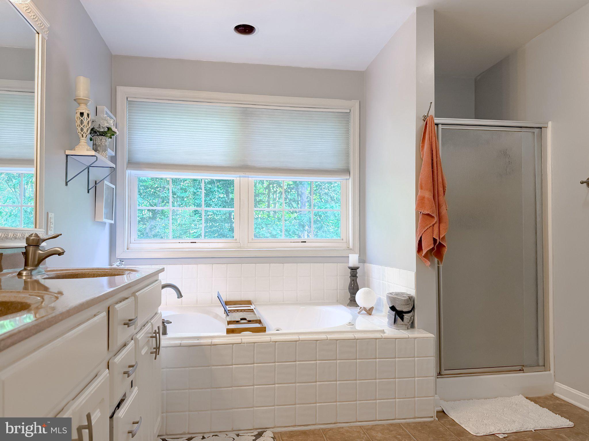 6020 Port Tobacco Road Indian Head, MD 20640 - Photo 23 of 59 Serene bathroom with natural light.