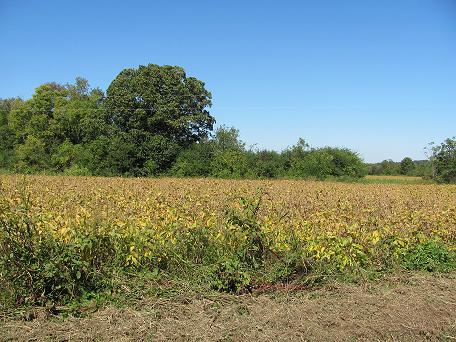 0 Church Road Decherd, TN 37324 - Photo 2 of 4