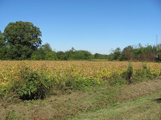 0 Church Road Decherd, TN 37324 - Photo 3 of 4