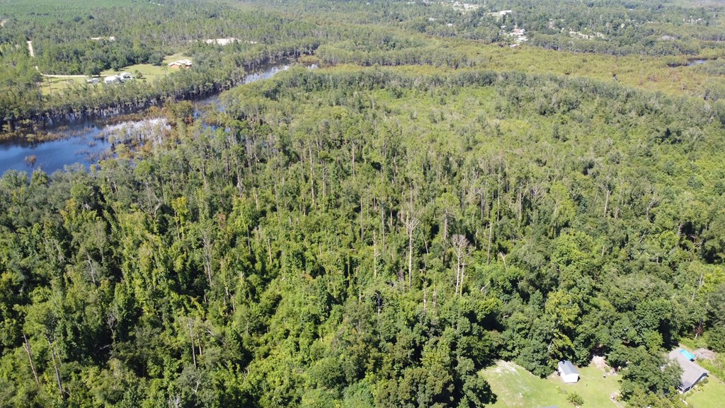 Tbd Faison Road Wewahitchka, FL 32465 - Photo 3 of 9
