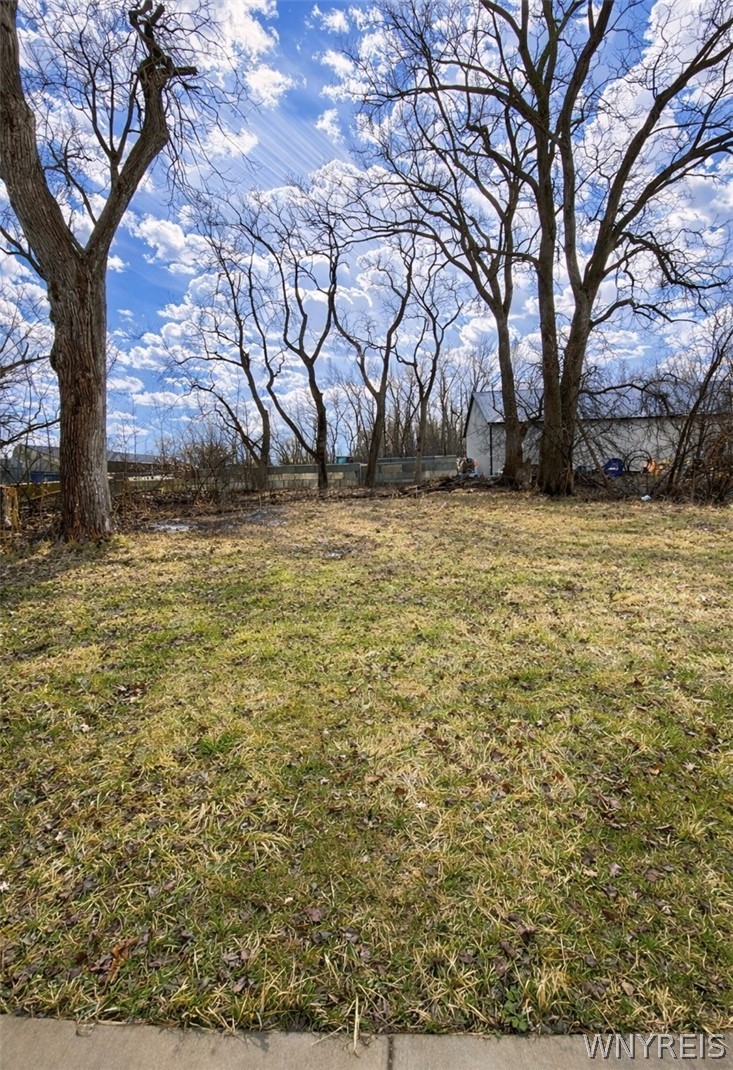 274 Marilla Street Buffalo, NY 14220 - Photo 2 of 5