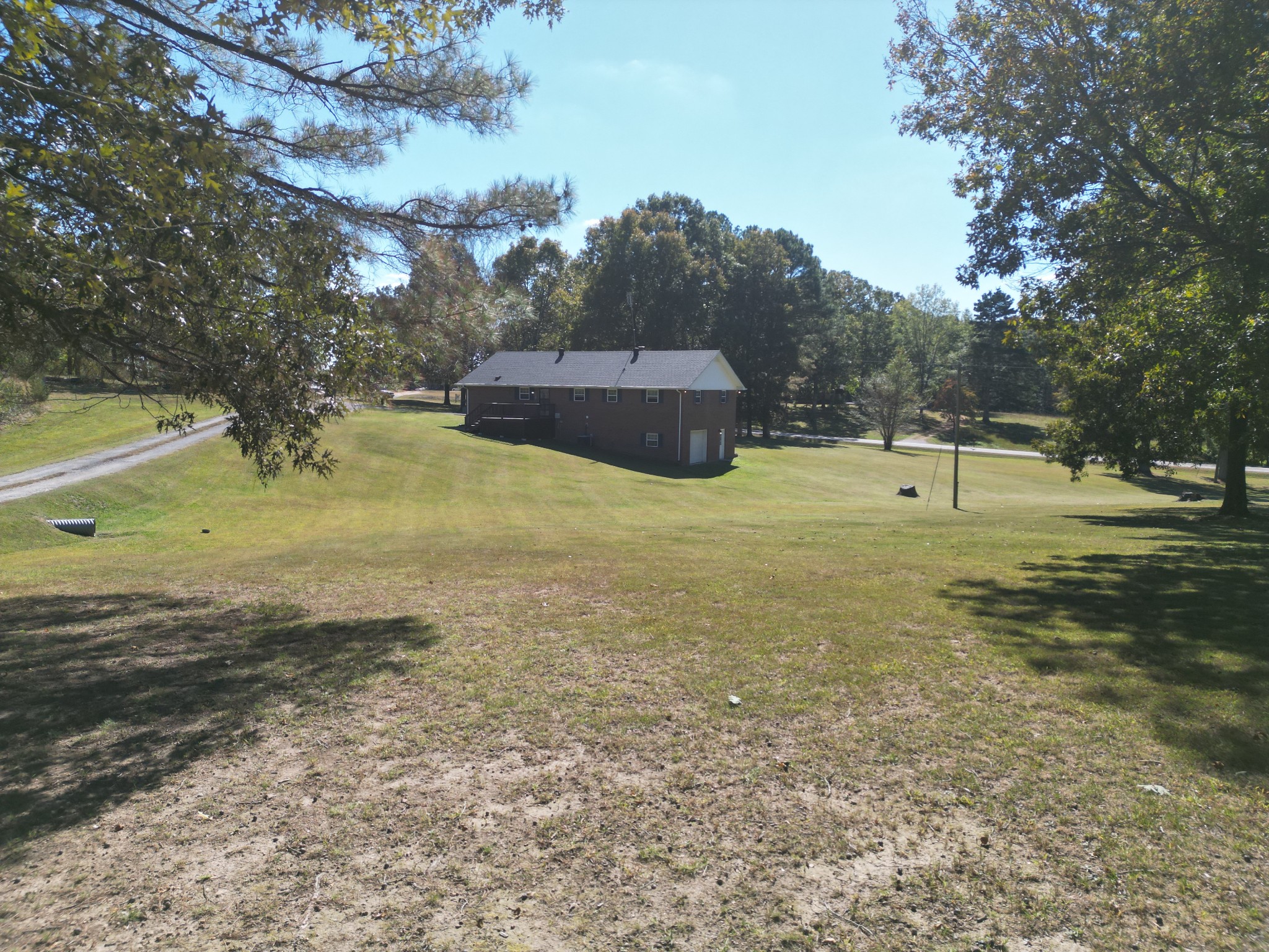 a view of a yard with a tree