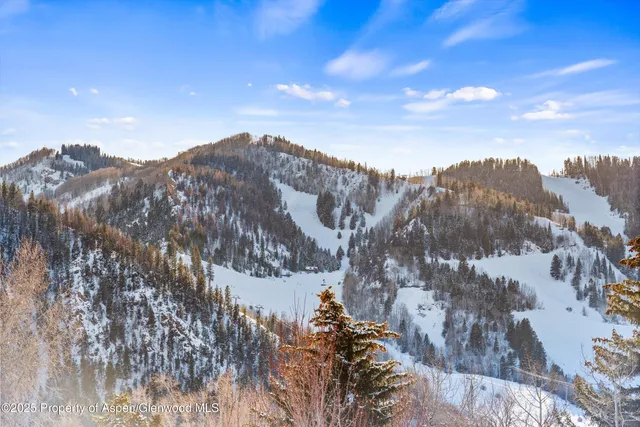 a living room with furniture a fireplace and a floor to ceiling window