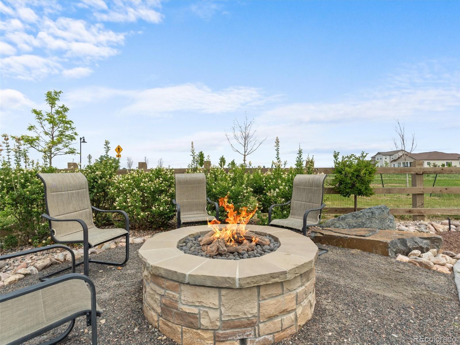 1242 Larimer Ridge Parkway Timnath, CO 80547 - Photo 12 of 50