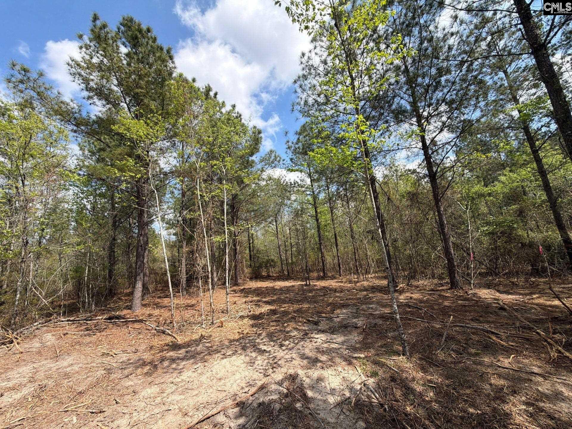 3 Mt Calvary Rd Ridge Spring Ridge Spring, SC 29129 - Photo 26 of 27