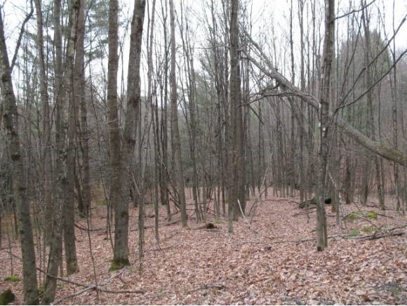 362 Town Farm Hill Road Hartland, VT 05048 - Photo 1 of 1 Gallery Image 1