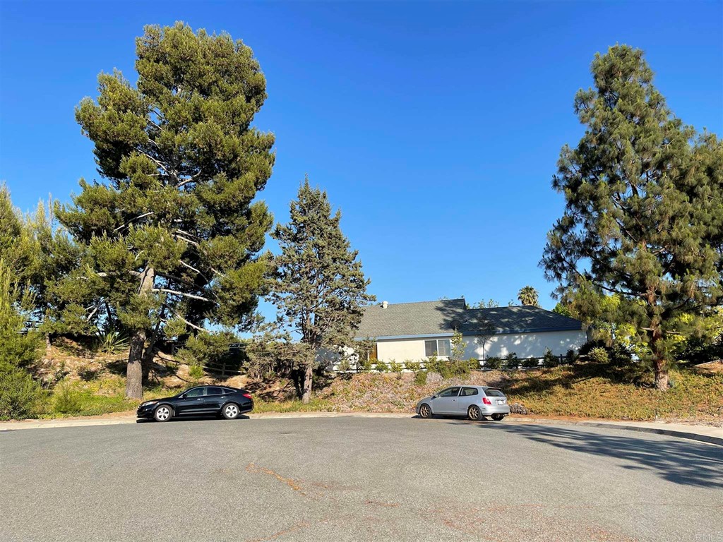 9934 Ivy Street Spring Valley, CA 91977 - Photo 17 of 62