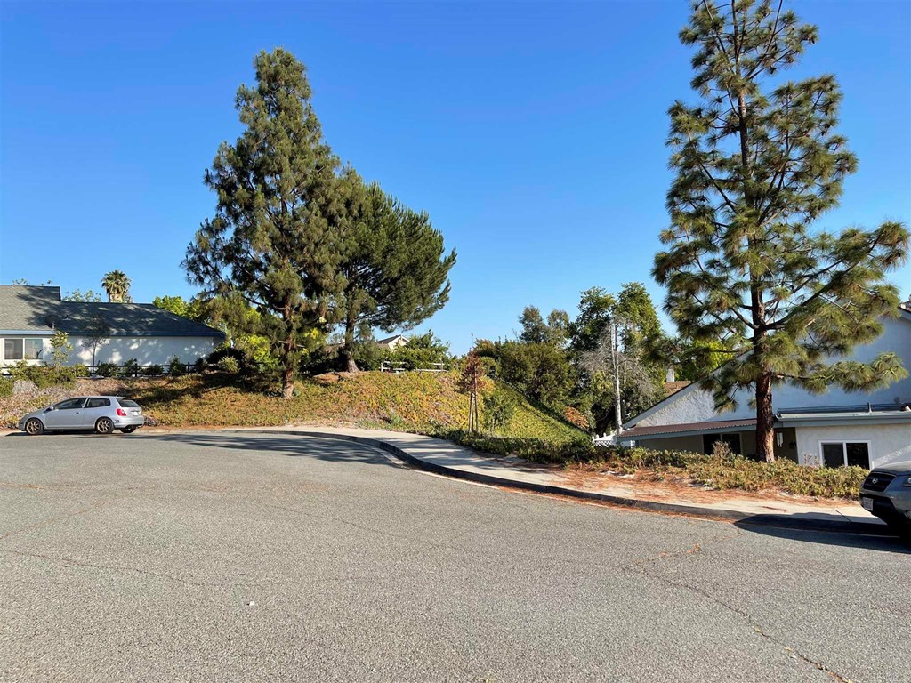 9934 Ivy Street Spring Valley, CA 91977 - Photo 18 of 62