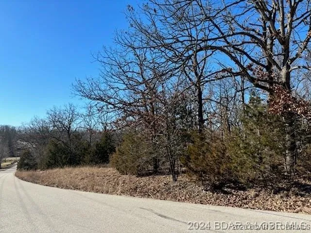 $39,500 | Tbd Buckingham Drive, Camdenton, MO 65020