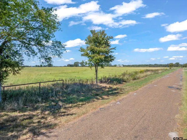 a view of a road with an ocean