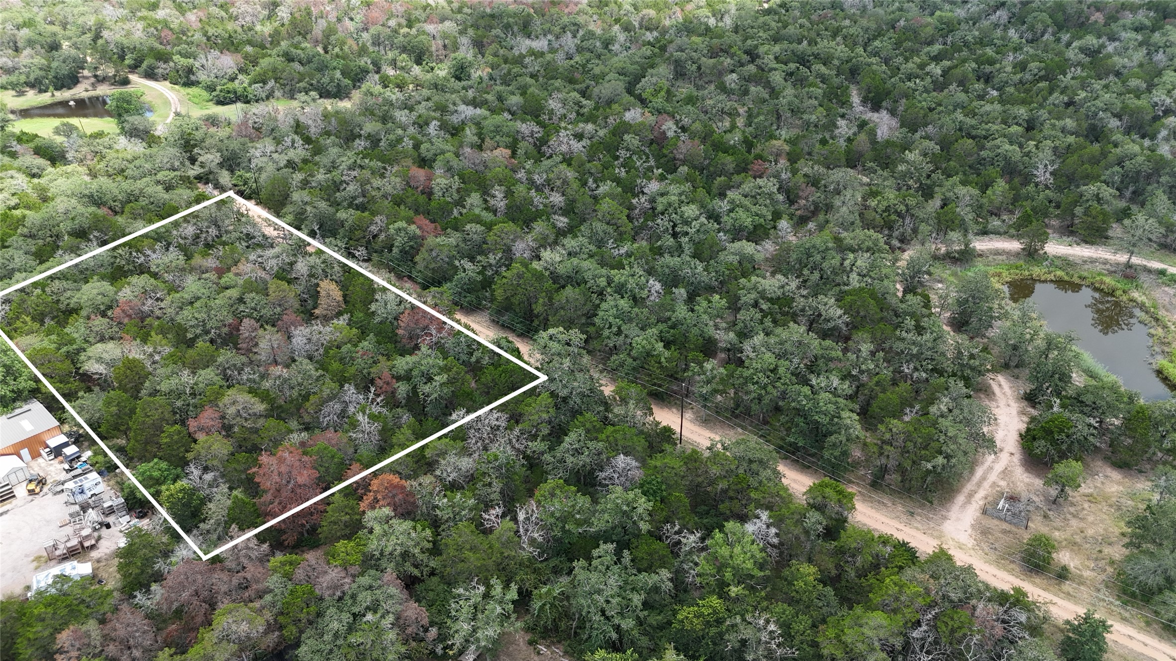 Tbd Red Fox Lane Bastrop, TX 78602 - Photo 6 of 14 Vast, undeveloped lot surrounded by dense foliage and a peaceful pond.