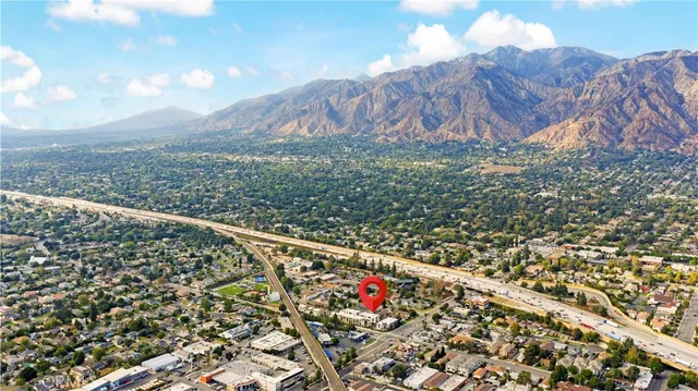 a view of a yard with flower plants