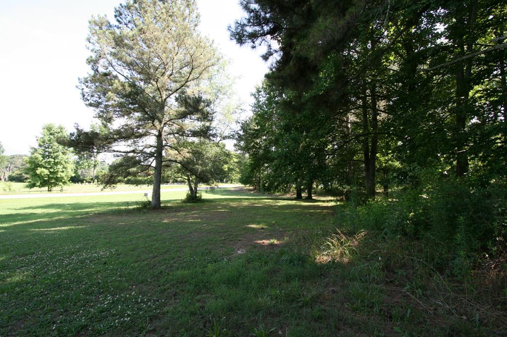601 McCamy Road Chatsworth, GA 30705 - Photo 11 of 42 Gallery Image 11