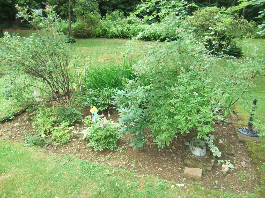 8 Clark Road Holland, MA 01521 - Photo 25 of 30 a view of a yard with a tree