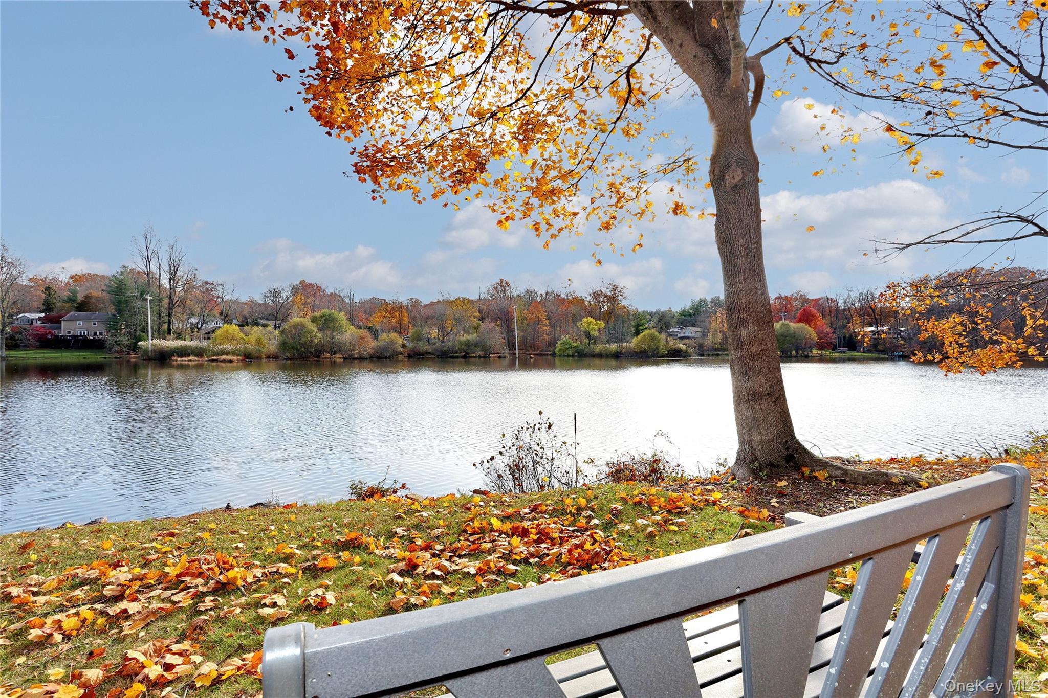 310 South Mountain Road New City, NY 10956 - Photo 26 of 27 a view of a lake and trees by houses