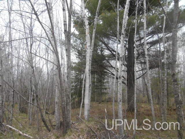39.30-ac Armstrong Lake Road Crystal Falls, MI 49920 - Photo 16 of 24