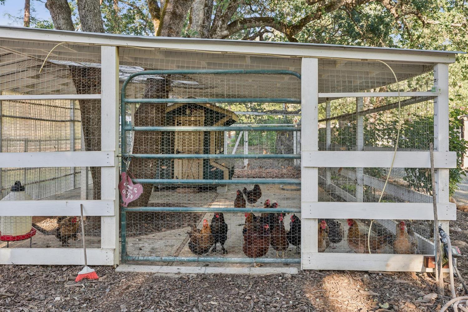 391 Crystal Springs Road St. Helena, CA 94574 - Photo 97 of 99