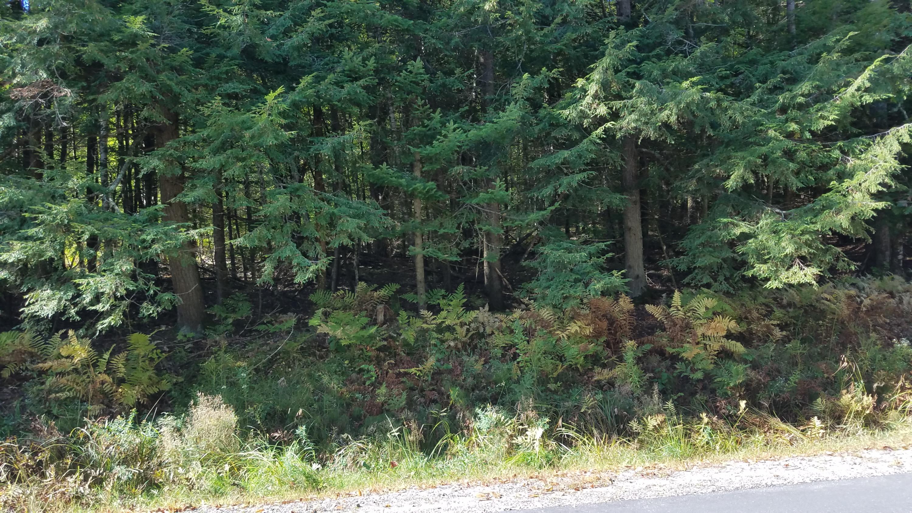 27 B Hudon Road Lisbon, ME 04250 - Photo 3 of 6 20190925_101342