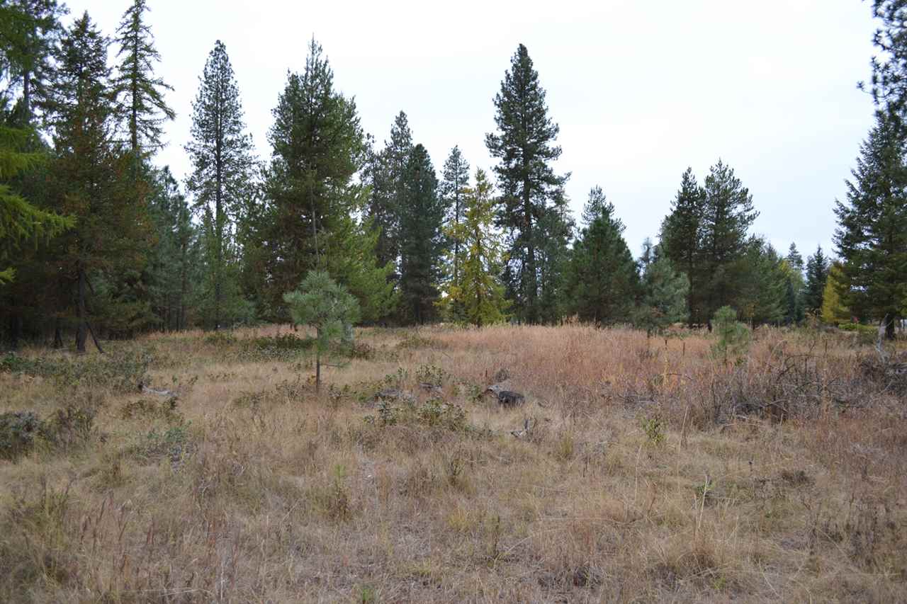 Tbd #1 West Crosscut Road Deer Park, WA 99006 - Photo 1 of 18 Gallery Image 1