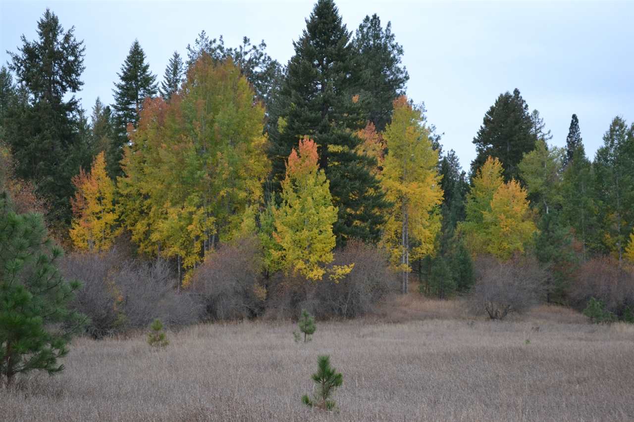 Tbd #1 West Crosscut Road Deer Park, WA 99006 - Photo 11 of 18 Gallery Image 11