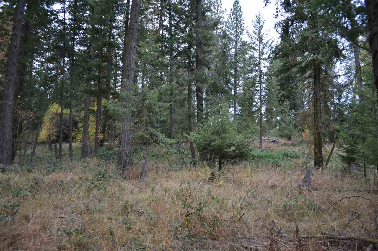 Tbd #1 West Crosscut Road Deer Park, WA 99006 - Photo 13 of 18 Gallery Image 13
