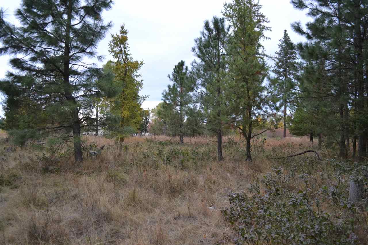 Tbd #1 West Crosscut Road Deer Park, WA 99006 - Photo 17 of 18 Gallery Image 17