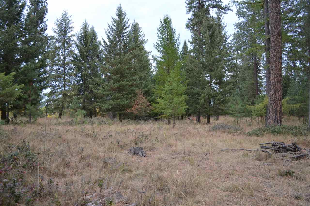 Tbd #1 West Crosscut Road Deer Park, WA 99006 - Photo 3 of 18 Gallery Image 3