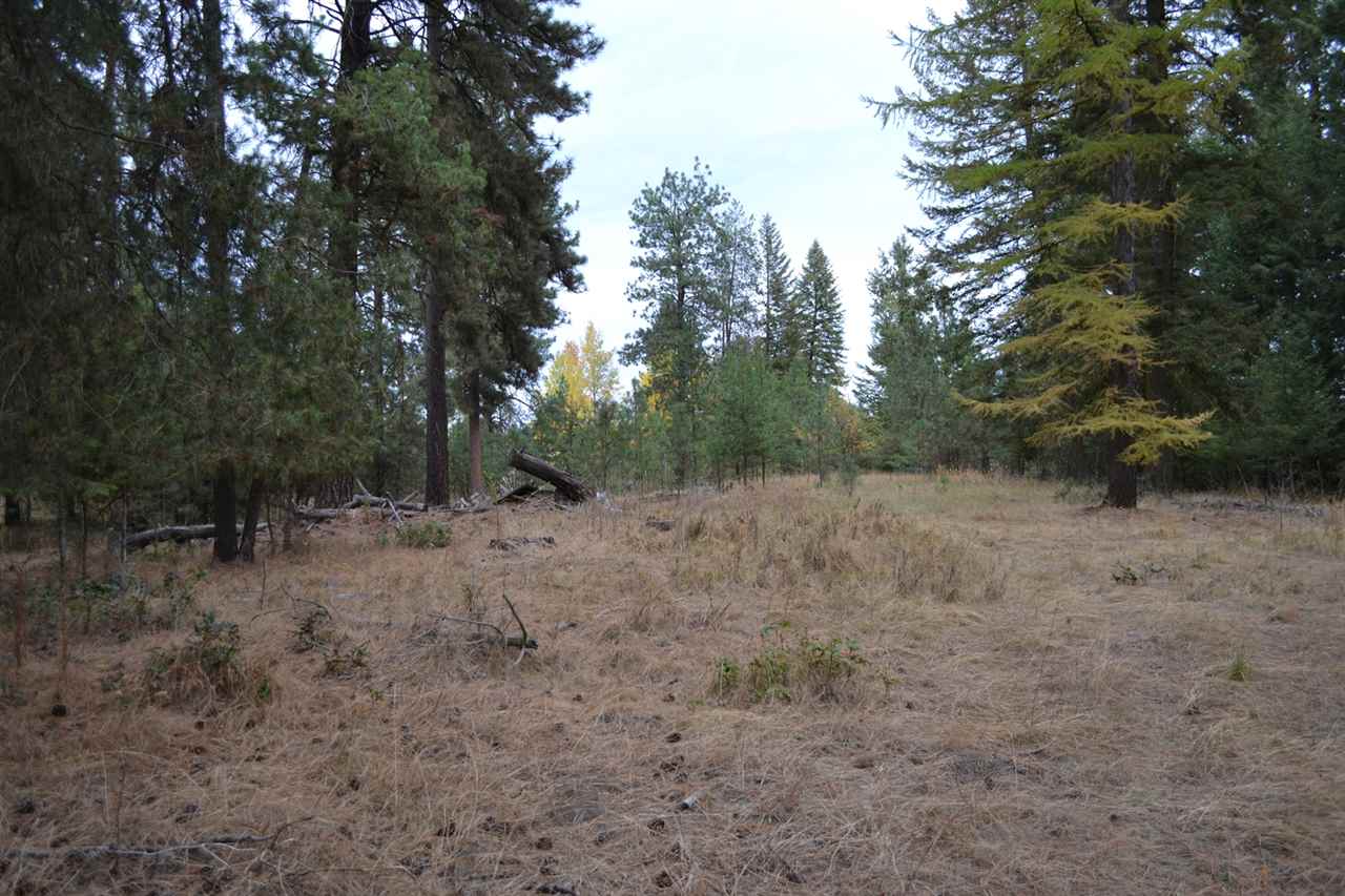 Tbd #1 West Crosscut Road Deer Park, WA 99006 - Photo 4 of 18 Gallery Image 4