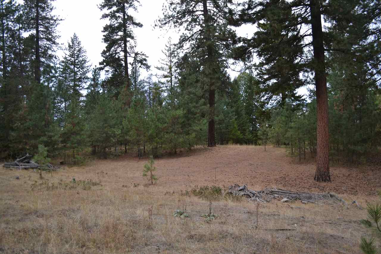 Tbd #1 West Crosscut Road Deer Park, WA 99006 - Photo 5 of 18 Gallery Image 5