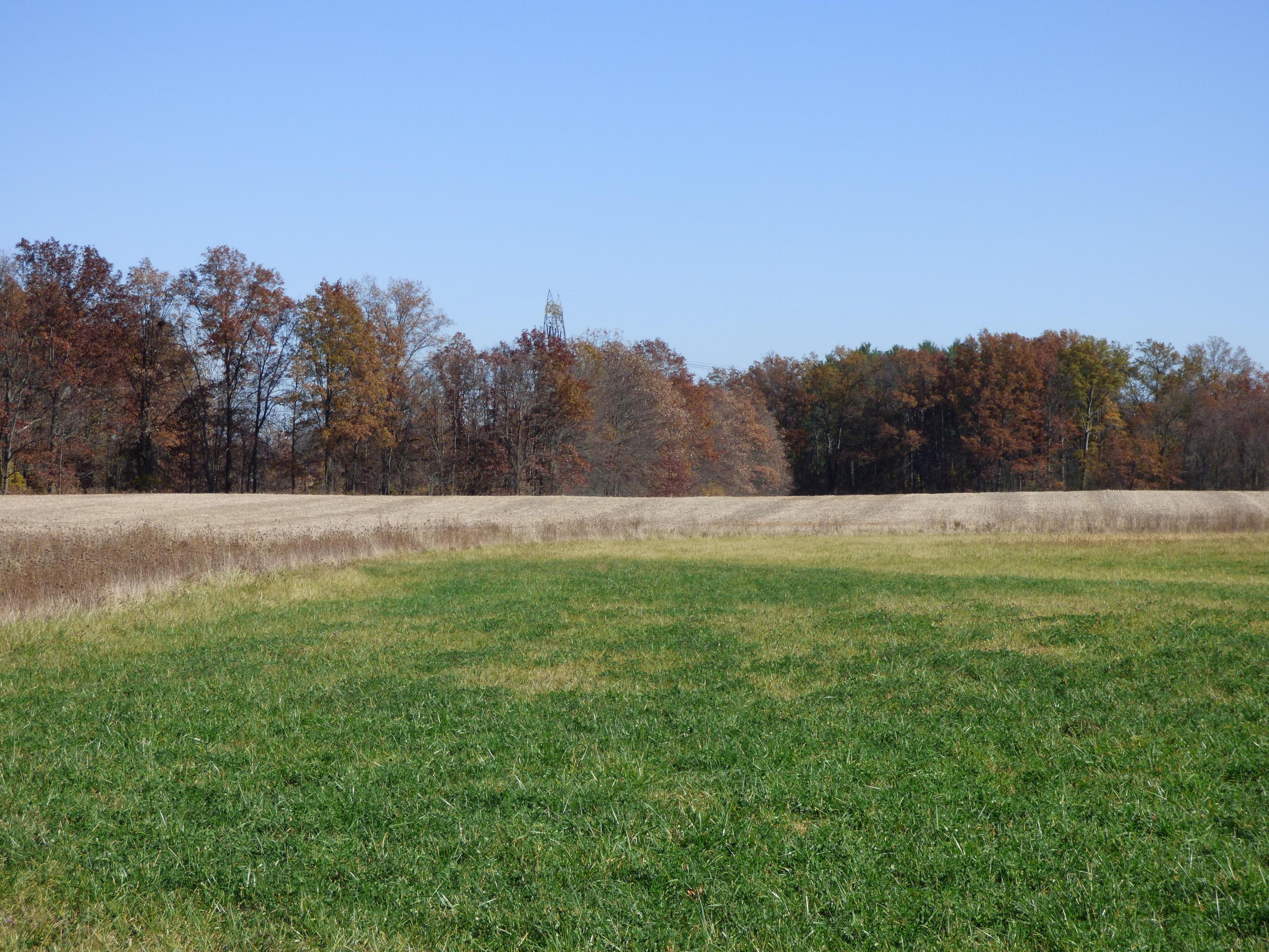 0 Barker Road Marysville, OH 43040 - Photo 5 of 6