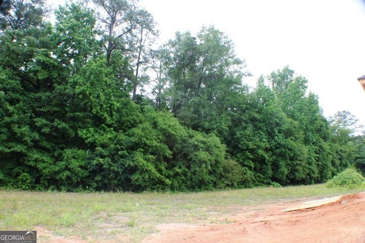 628 Ellie Circle Dublin, GA 31021 - Photo 3 of 4