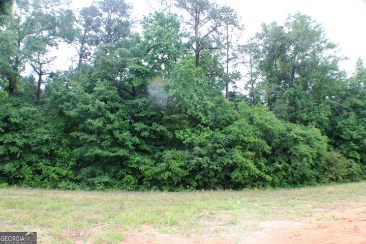 628 Ellie Circle Dublin, GA 31021 - Photo 4 of 4