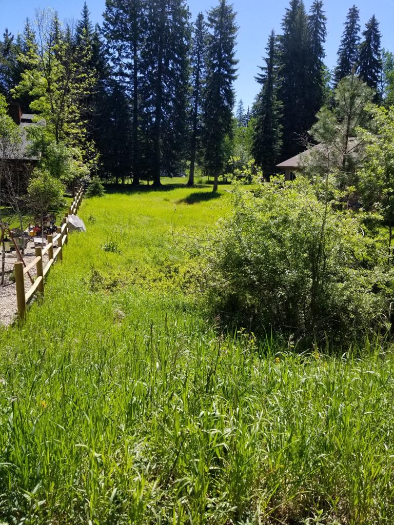 Tbd Divot Lane, Unit 4 McCall, ID 83638 - Photo 6 of 18 Lots of Light