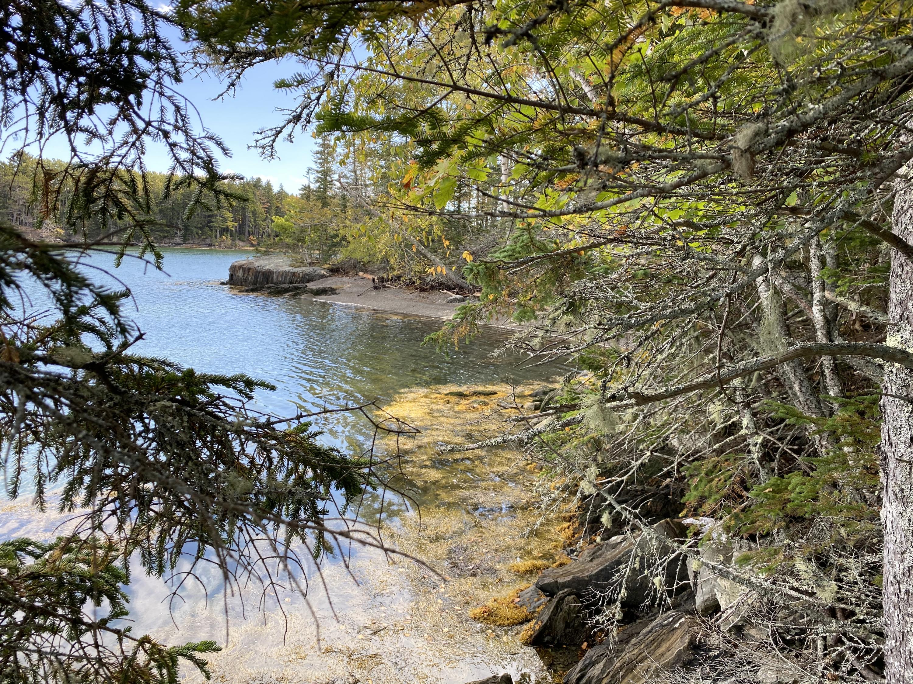 0 West Bay Road Islesboro, ME 04848 - Photo 4 of 60 IMG_1660