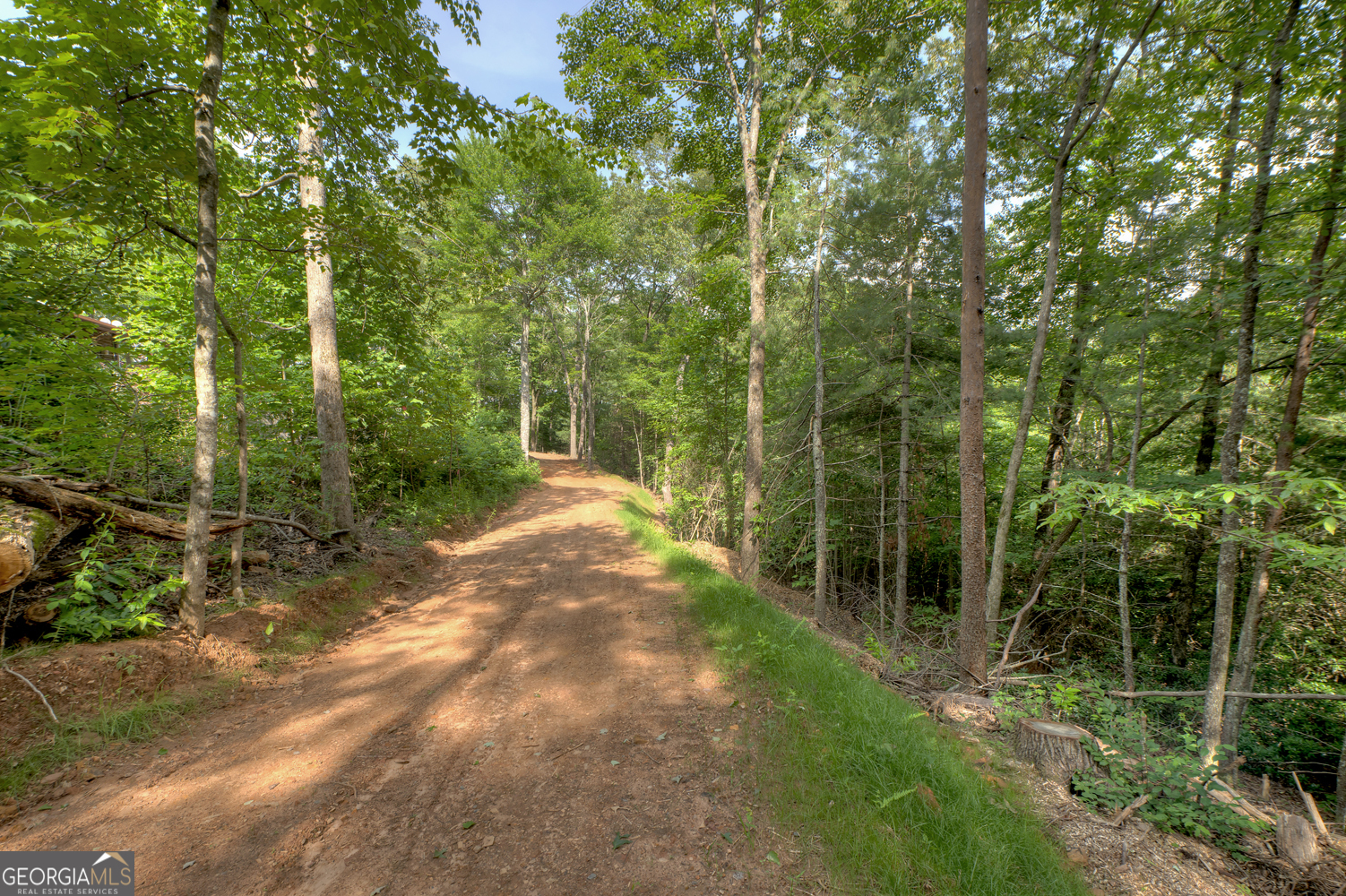 0 Sugar Creek Road Blue Ridge, GA 30513 - Photo 13 of 13