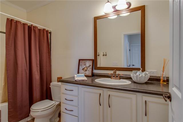 120 Piney Road Dickson, TN 37055 - Photo 15 of 20 Spacious hall bathroom, notice the tall vanity and the copper fixtures........nice touch!