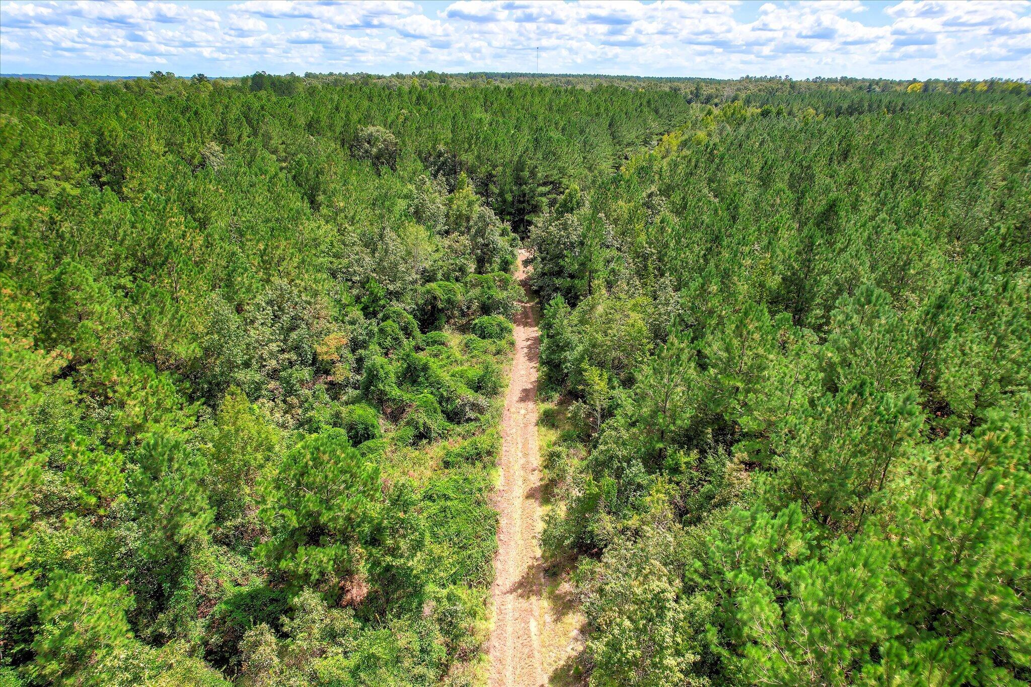 64.68-acre Mt Beulah Road Windsor, SC 29856 - Photo 20 of 20 Gallery Image 20