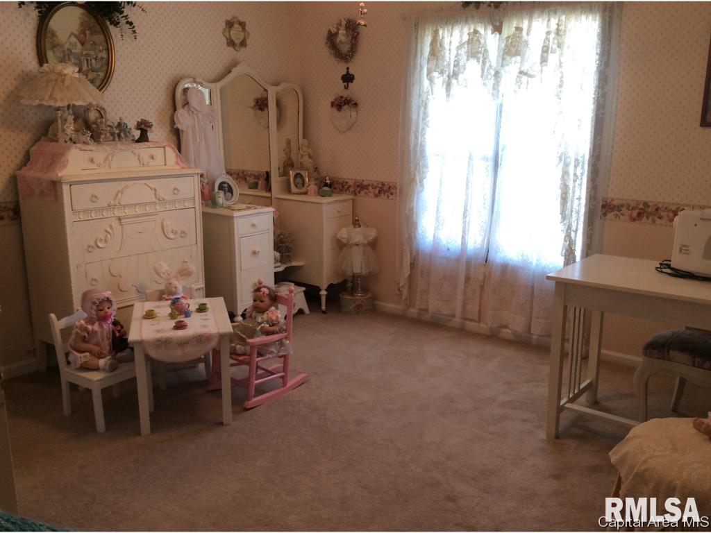 3890 Ostermeier Road Auburn, IL 62615 - Photo 23 of 36